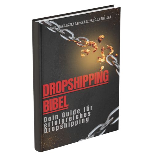 E-Book Dropshipping Bibel Cover